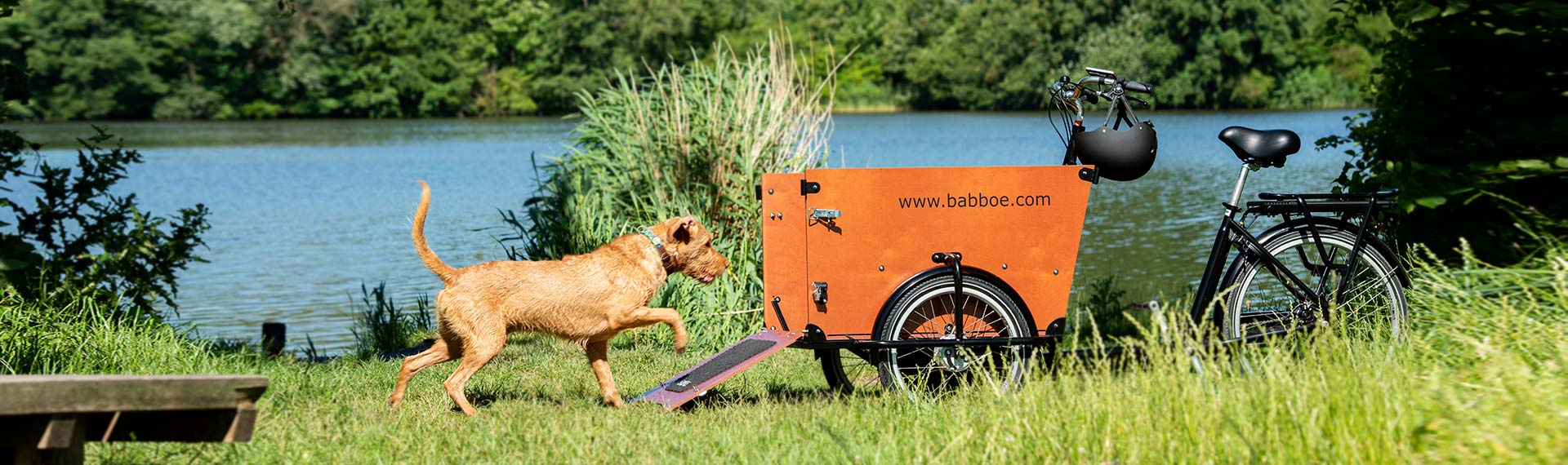 Vélo caro accessoires pour chiens 